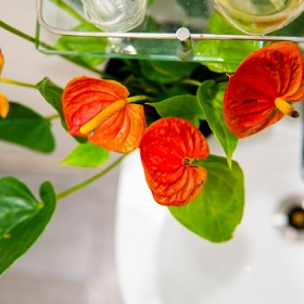 Hera Spa - Đà Nẵng