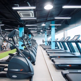 The New Gym