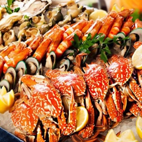 Vietnam Daily Tour