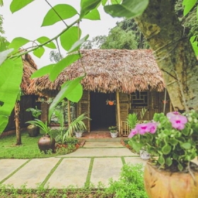 Tam Coc Rice Field Resort - Ninh Binh