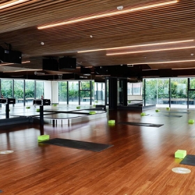 Elite Fitness
