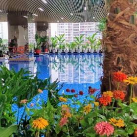 Massage Tropical Pool