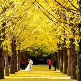 HM Travel
