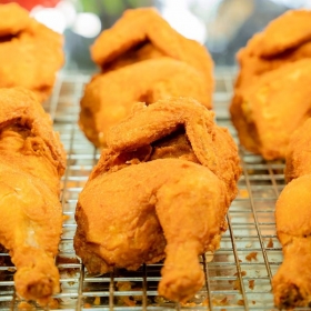 Chicken Plus