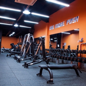 The New Gym