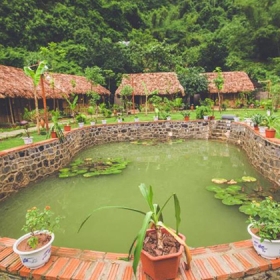 Tam Coc Rice Field Resort - Ninh Binh