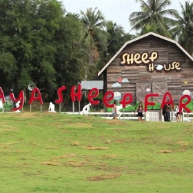 Pegas Việt Nam