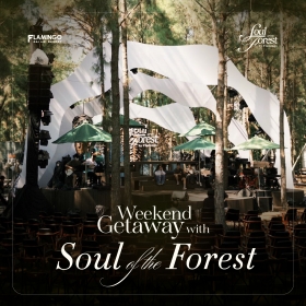 Soul Of The Forest