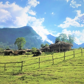 UTOPIA ECO LODGE