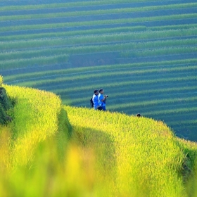 Vietnam ANZ Travel