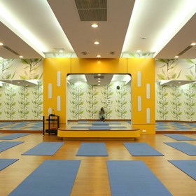 Hệ thống yoga