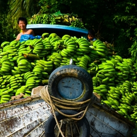 Pioneer Travel