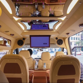 LUXURY VAN LIMOUSINE