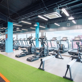 The New Gym