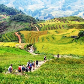 Go Viet Nam Travel.Asia