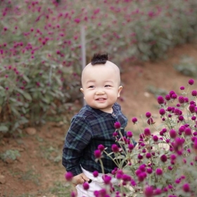 NGUYÊN VŨ STUDIO