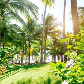 Hoàng Ngọc Beach Resort 