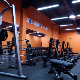 The New Gym