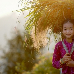 Vietnam ANZ Travel