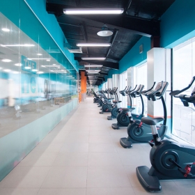 The New Gym
