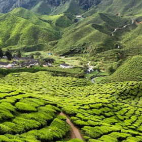 HẠNH DUNG TOURIST