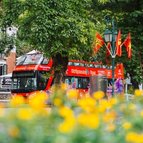 Vietnam Sightseeing