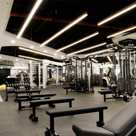 Elite Fitness