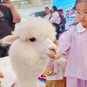Khu vui chơi Chú Voi Con