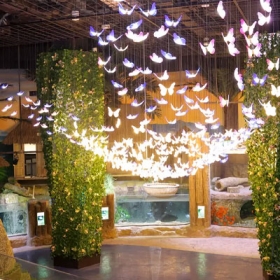 Thuỷ Cung Lotte World  Aquarium Hà Nội