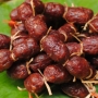 Những món ăn độc lạ An Giang