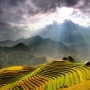 Bật mí những bí mật để khám phá toàn cảnh vẻ đẹp mùa lúa chín ở Sa Pa