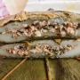 Bánh nếp nhân trứng kiến đặc sản Tuyên Quang làm xiêu lòng các thực khách