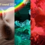 3 Màu HOT Trend 2024 - Xu hướng thời trang, salon và thiết kế thời thượng