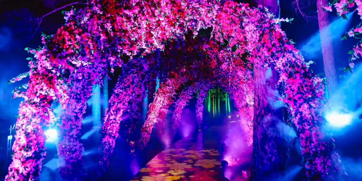 Vé Delight Park Đà Lạt 