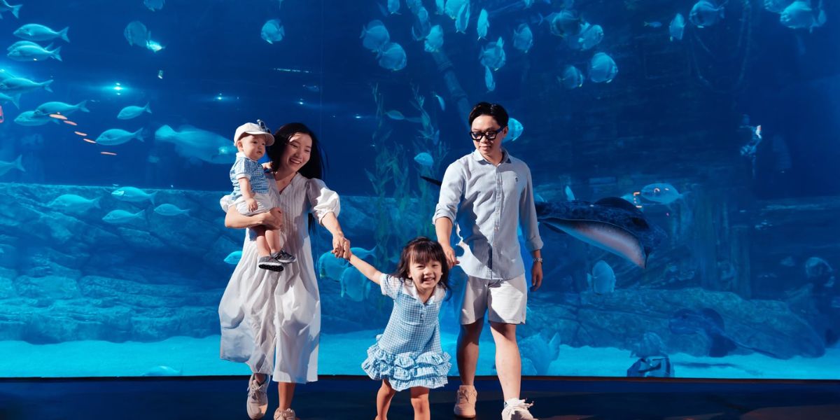 Vé Lotte World Aquarium Tây Hồ Hà Nội