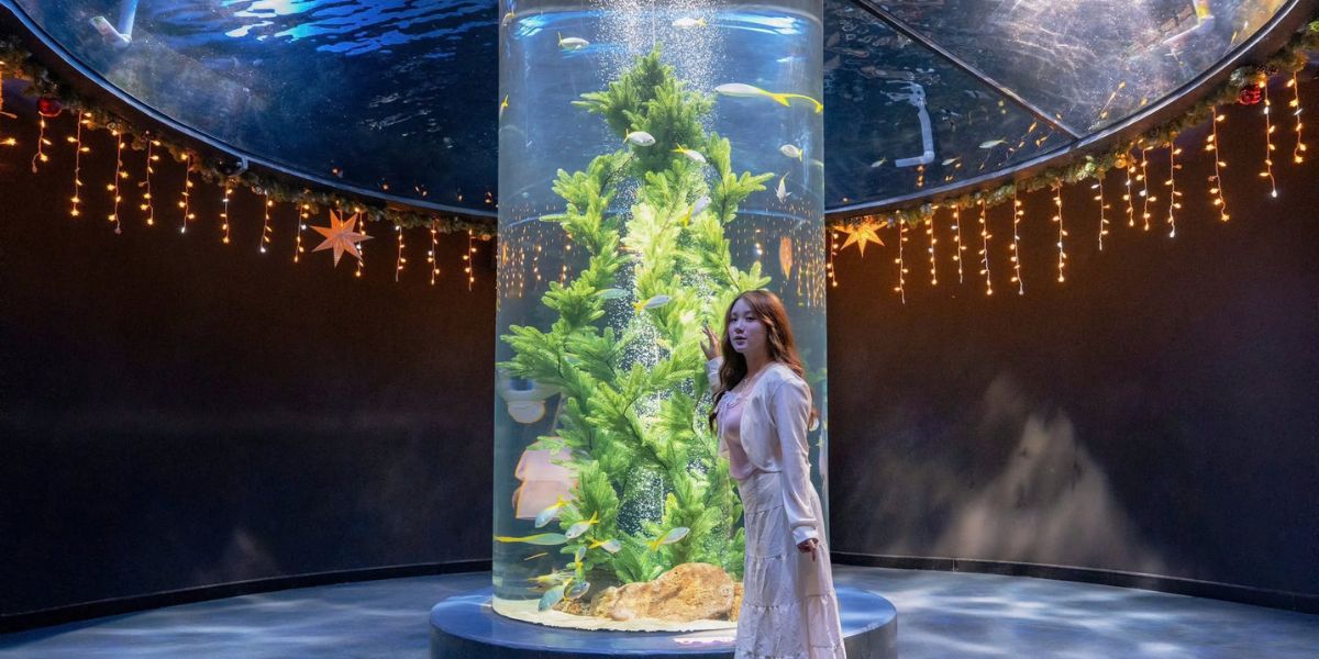 Vé Lotte World Aquarium Tây Hồ Hà Nội