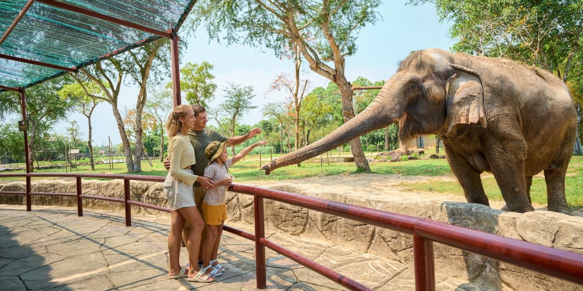 Vé VinWonders Nam Hội An 
