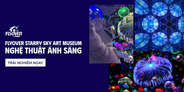 Flyover Starry Sky Art Museum