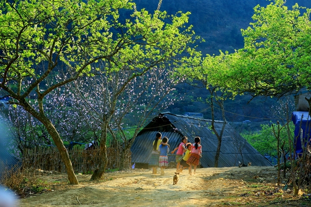 Tour Hà Nội - Mai Châu - Bản Áng - Mộc Châu - Hà Nội 2N1Đ