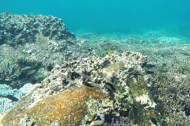 Tour trong ngày Nha Trang: Khám phá Đảo Tôm Hùm - Bình Ba