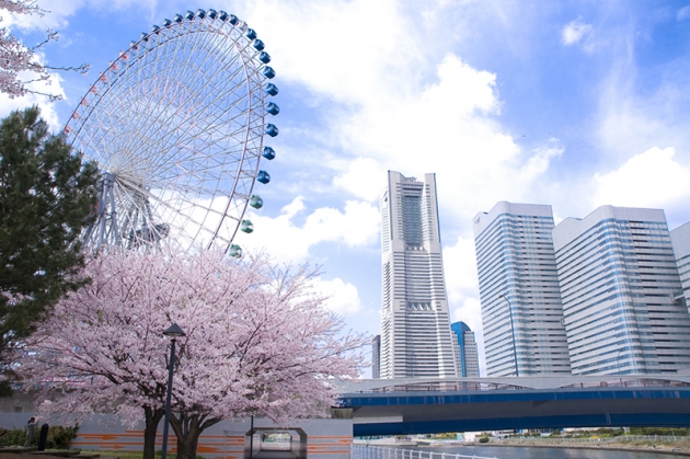 Thành phố biển Yokohama: Tokyo - Yamanashi - Yokohama (4N3Đ)