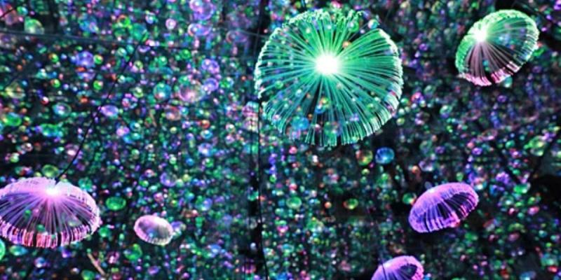 /HLC-Starry-Sky-Art-Museum