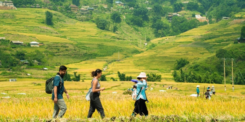 tour-sapa