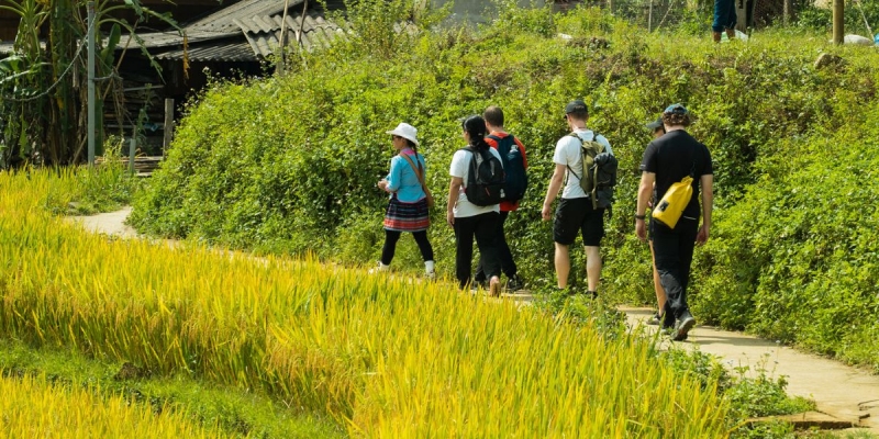 tour-sapa