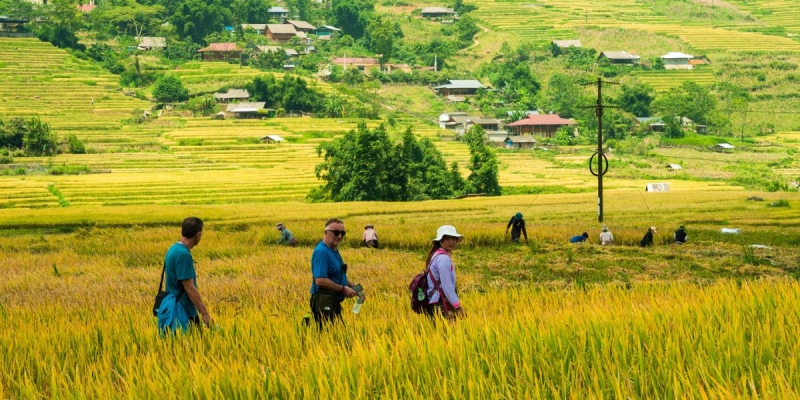 tour-sapa