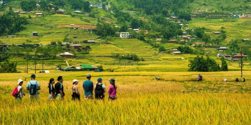 tour-sapa