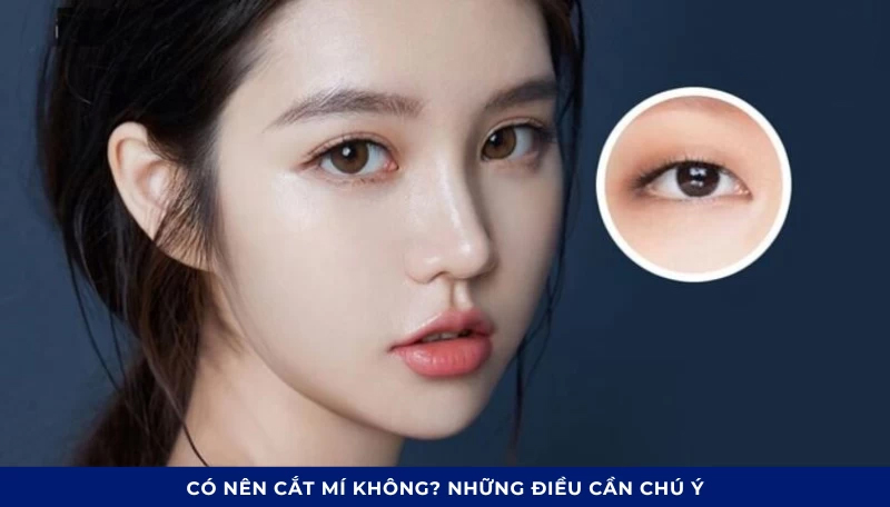 khong-ne-cat-long-mi