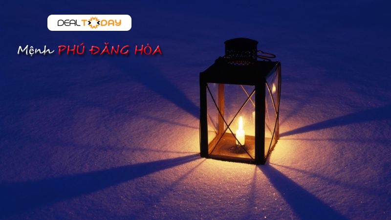 phu-dang-hoa-2024