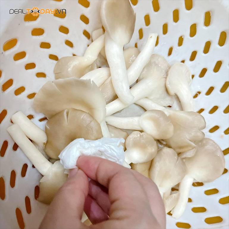 nam-bao-ngu-tuoi