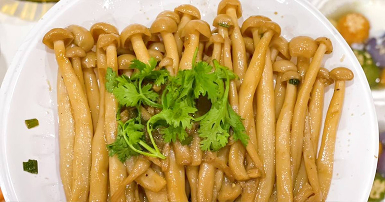 nam-hai-san-hap-xi-dau